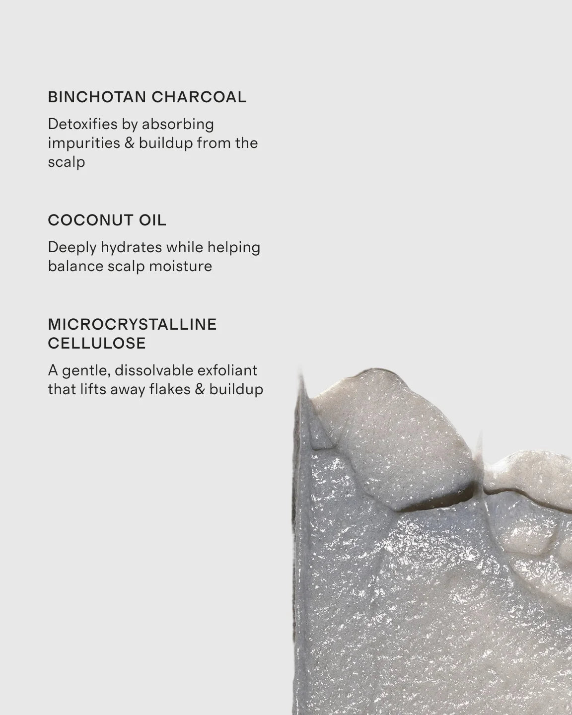 Scalp Revival™ Micro-Exfoliating Shampoo 32oz by Briogeo - One Size / No Color
