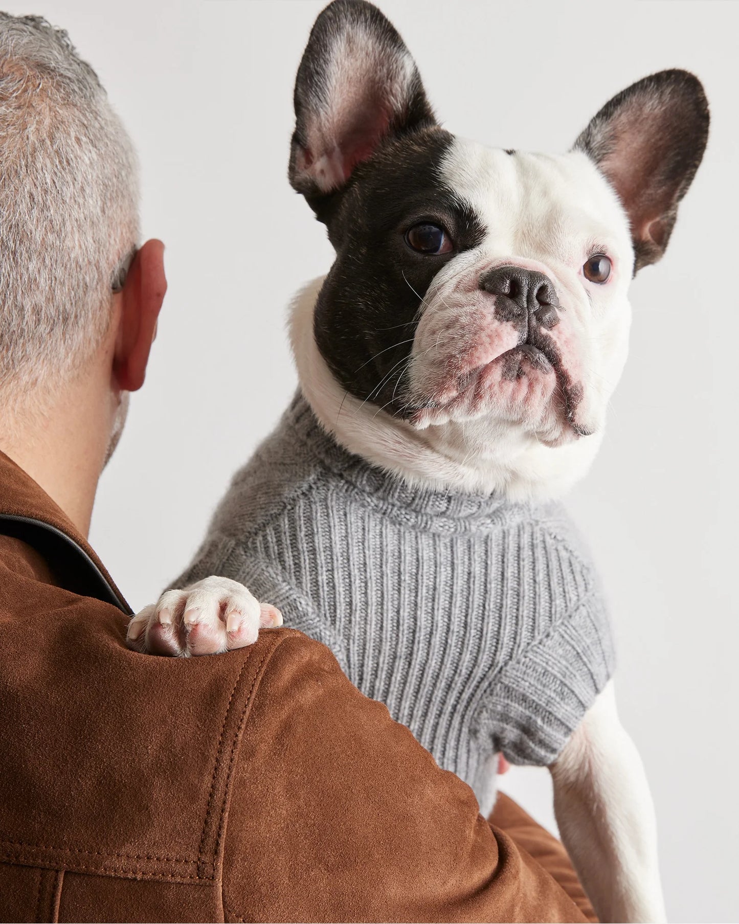 Mongolian Cashmere Cable Knit Dog Sweater - XS / True Navy