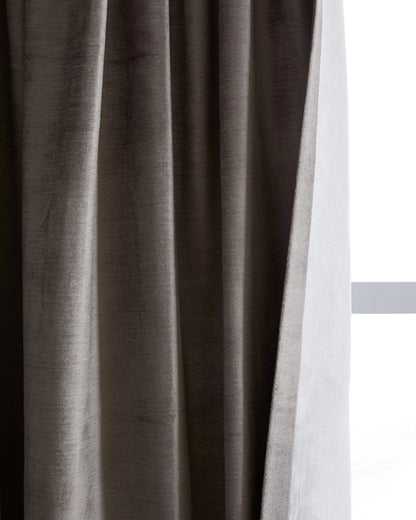 Luster Velvet Curtain - Single Panel - 48x84 / Champagne