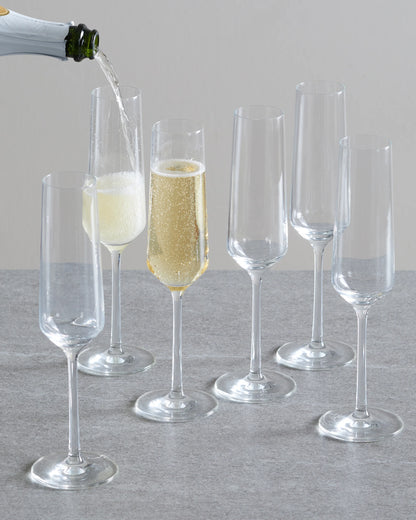 Pure Champagne Flute (Set of 6) - One Size / No Color