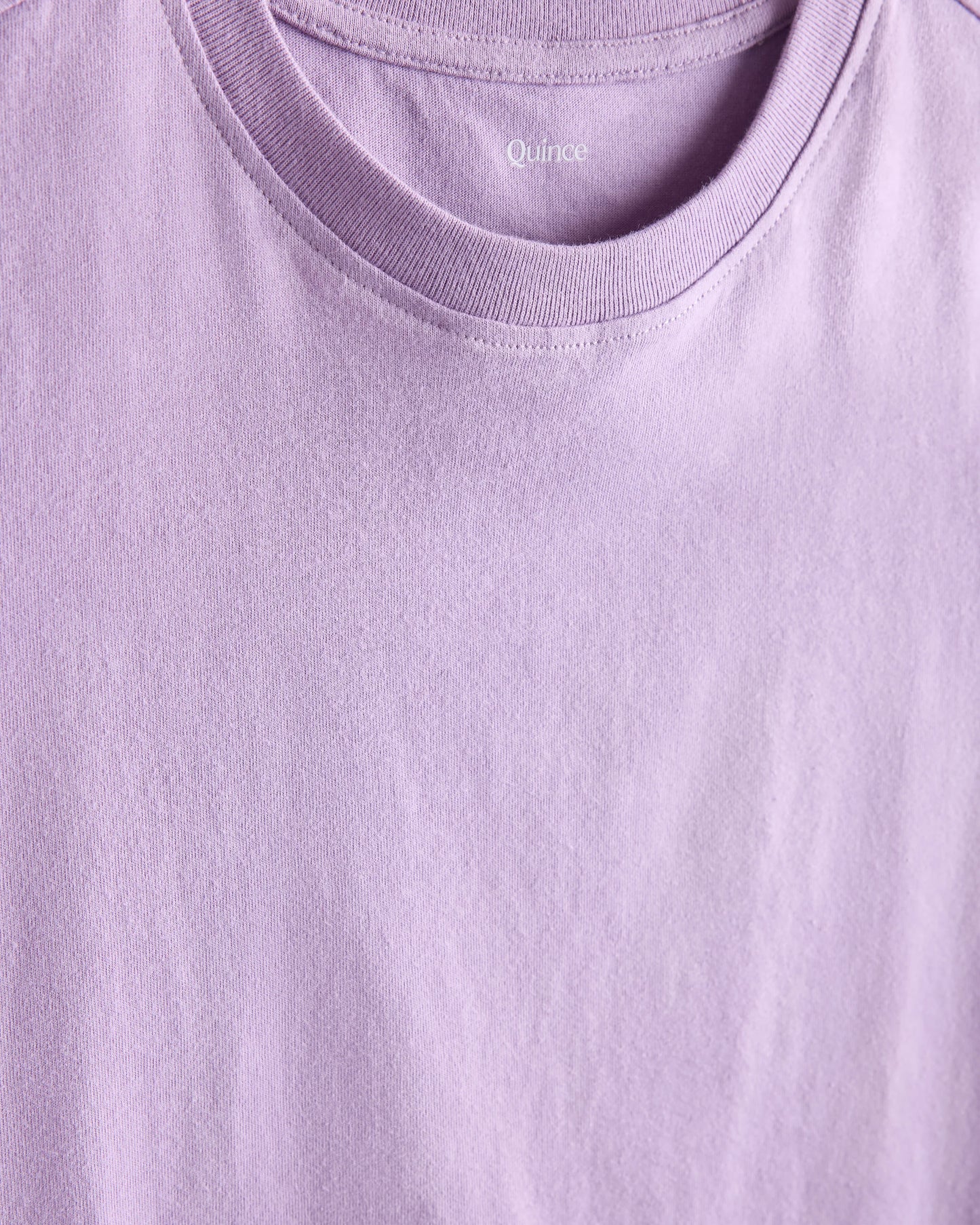 100% Organic Cotton Jersey Short Sleeve Tee - 2T / Dino Sketch