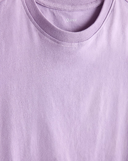 100% Organic Cotton Jersey Short Sleeve Tee - 2T / Dino Sketch