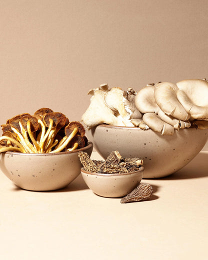 Breakfast Bowl (Set of 4) - One Size / Heron