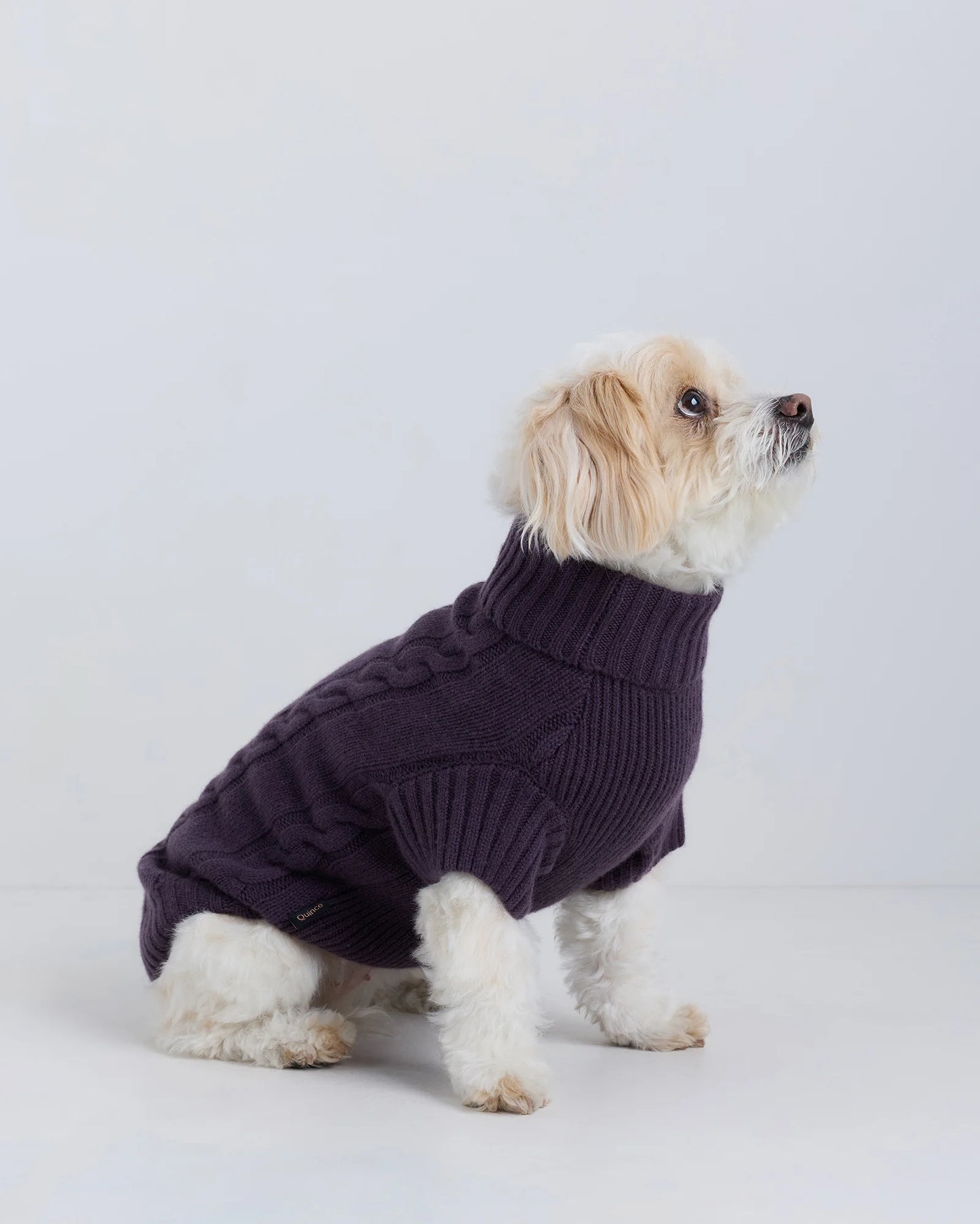 Mongolian Cashmere Cable Knit Dog Sweater - XS / True Navy