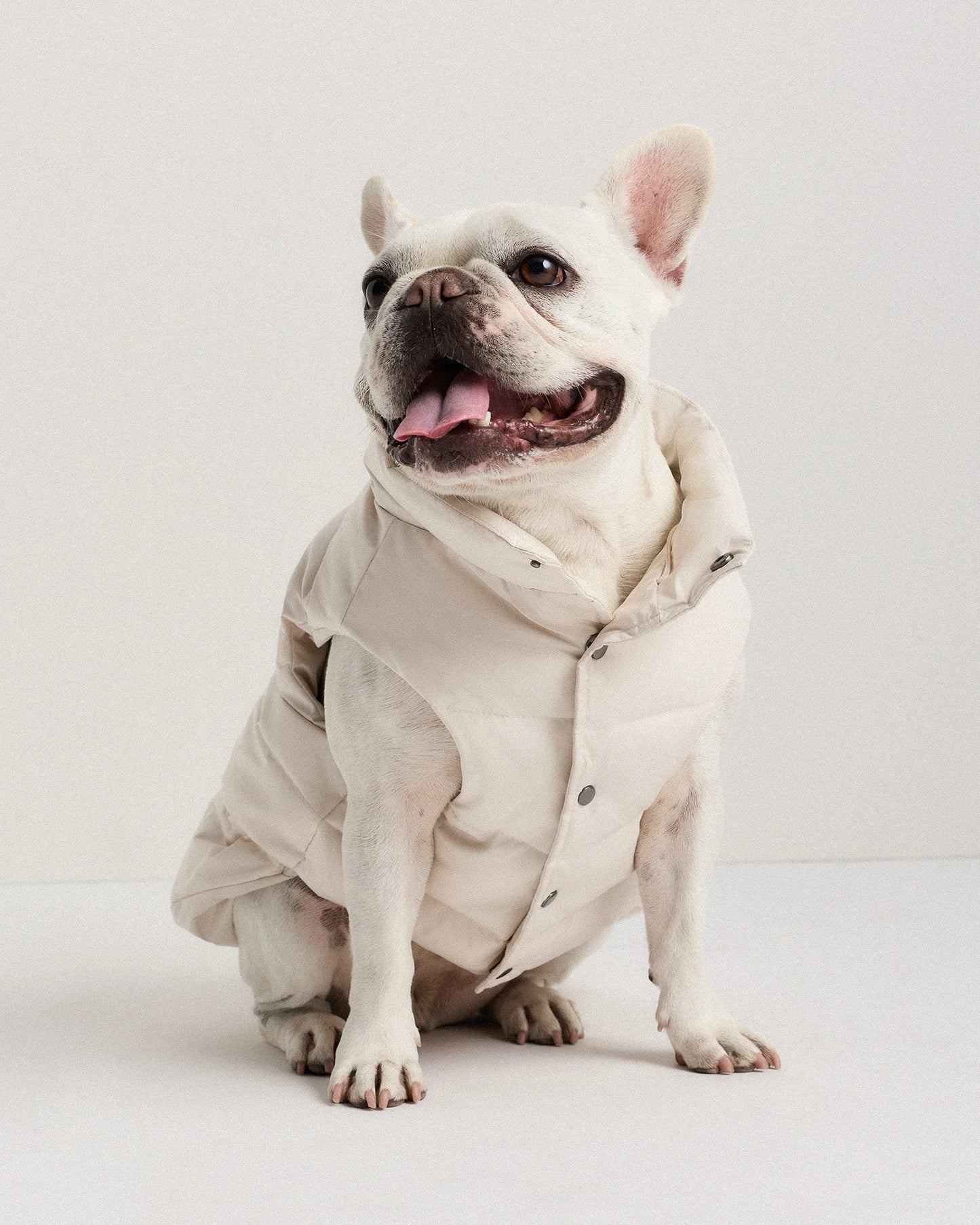 Waterproof Dog Puffer Jacket - XS / Off-White