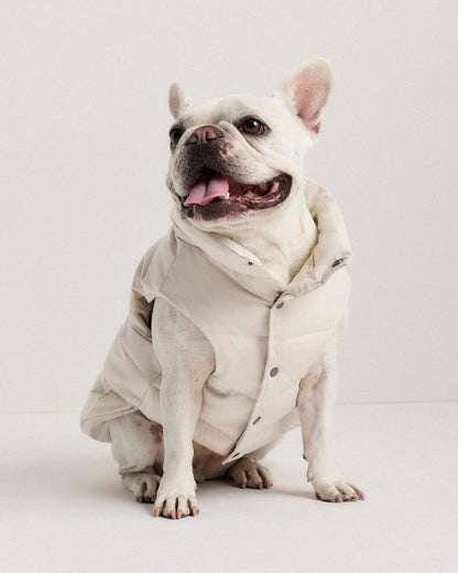 Waterproof Dog Puffer Jacket - XS / Off-White