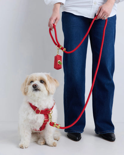 100% Cotton-Wrapped Nylon Dog Harness Walk Kit - XS / Ruby