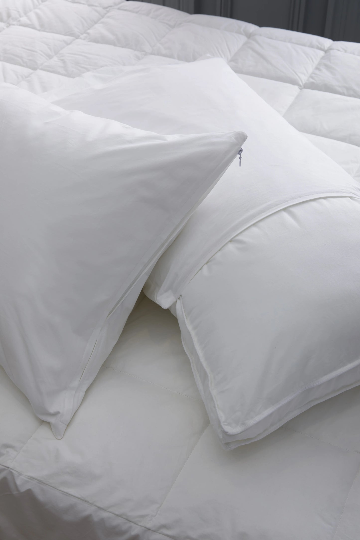 100% Cotton Pillow Protectors (Set of 2) - Standard / White