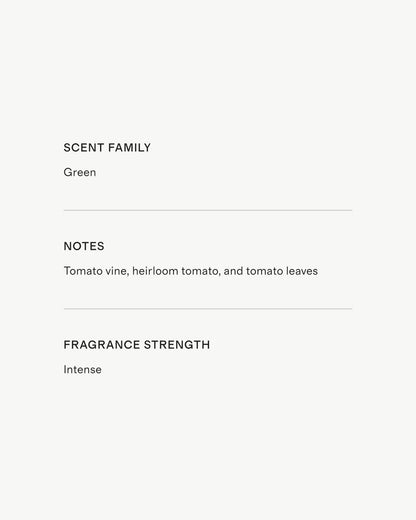 Heirloom Tomato Candle - One Size / No Color