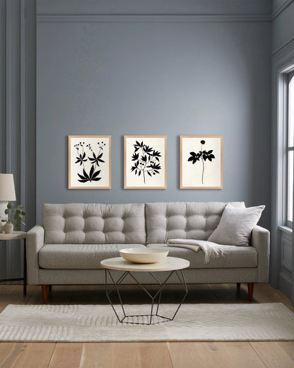 Botanical by Philippa Katz (Set of 3) - 17.25"x21.25" / Black