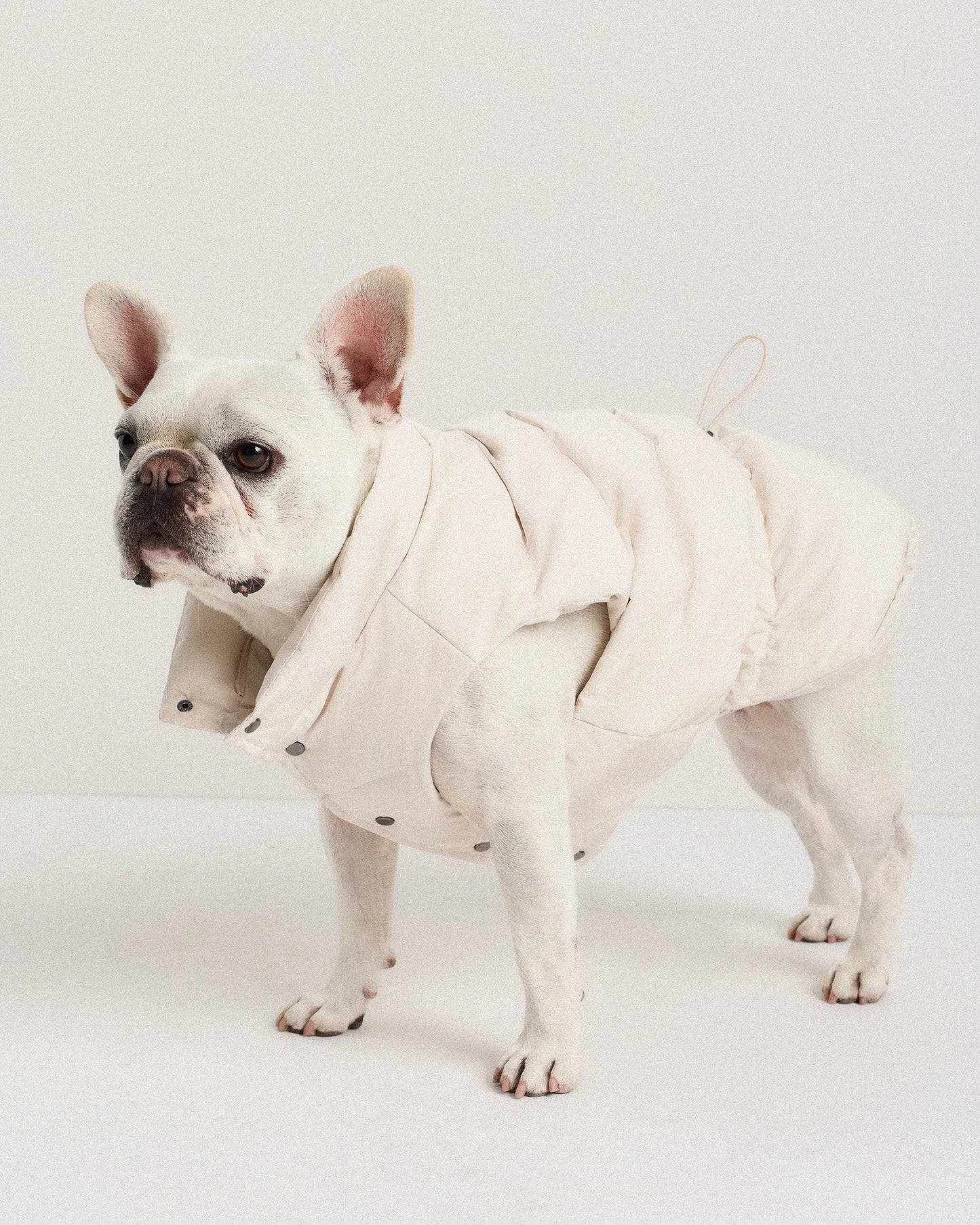 Waterproof Dog Puffer Jacket - XS / Off-White