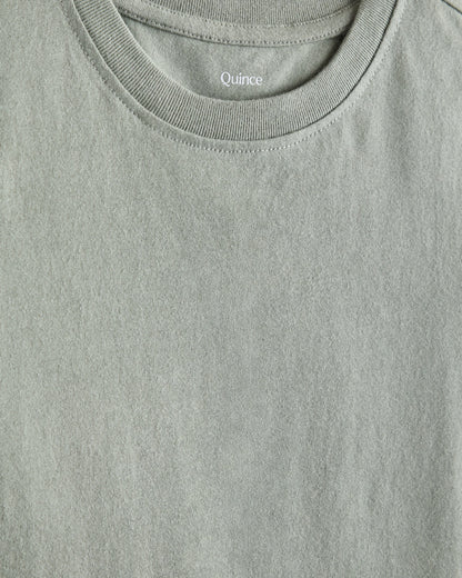 100% Organic Cotton Jersey Long Sleeve Tee - 6 / Dino Sketch
