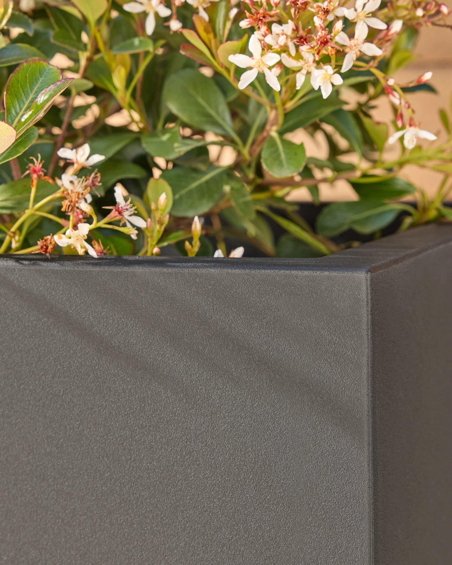 Block Series All Weather Rectangular Planter by Veradek - One Size / Black
