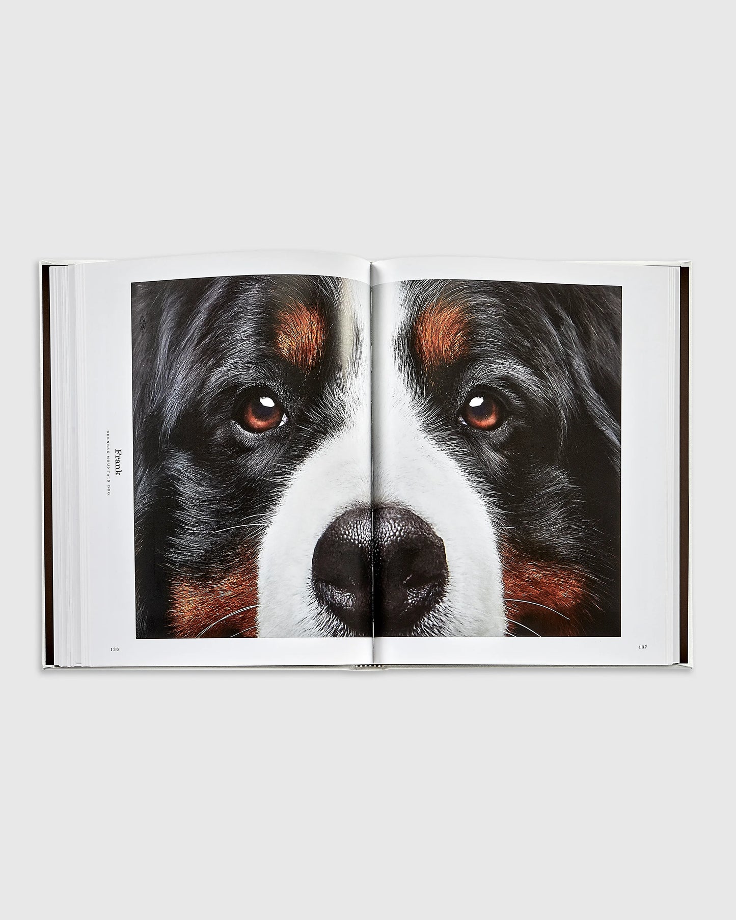 Good Dog Leather Bound Book - One Size / No Color