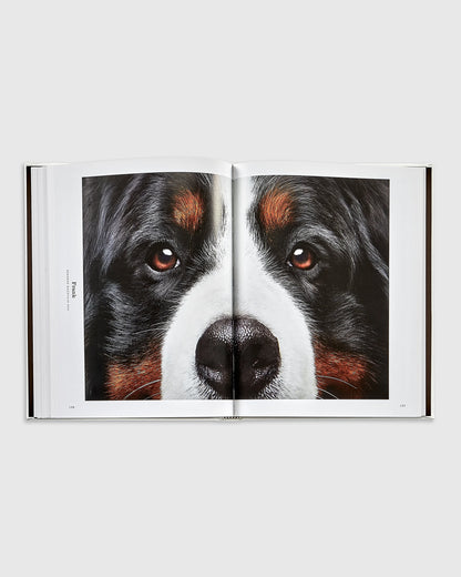 Good Dog Leather Bound Book - One Size / No Color