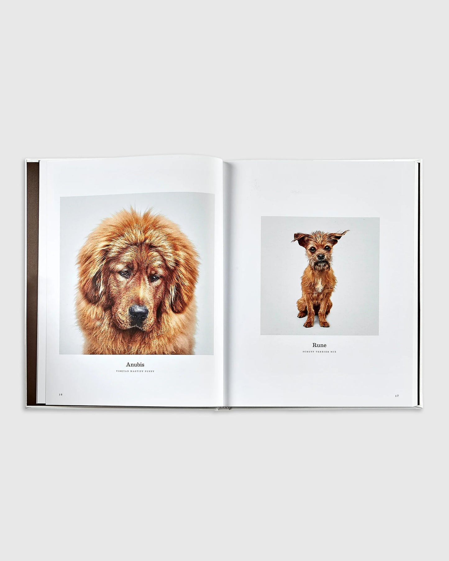 Good Dog Leather Bound Book - One Size / No Color