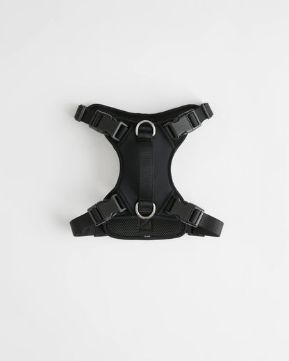 Dog Harness Walk Kit - XS / Black