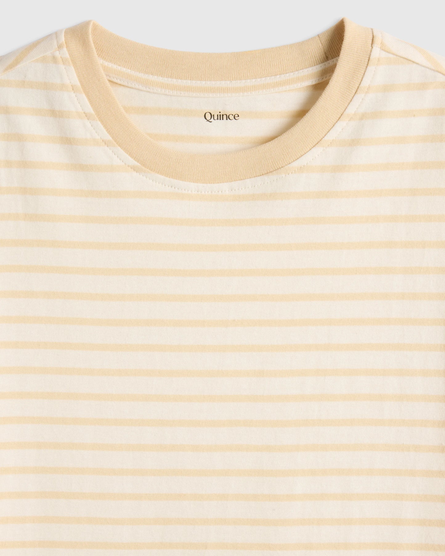 100% Organic Cotton Jersey Short Sleeve Tee - 2T / Dino Sketch