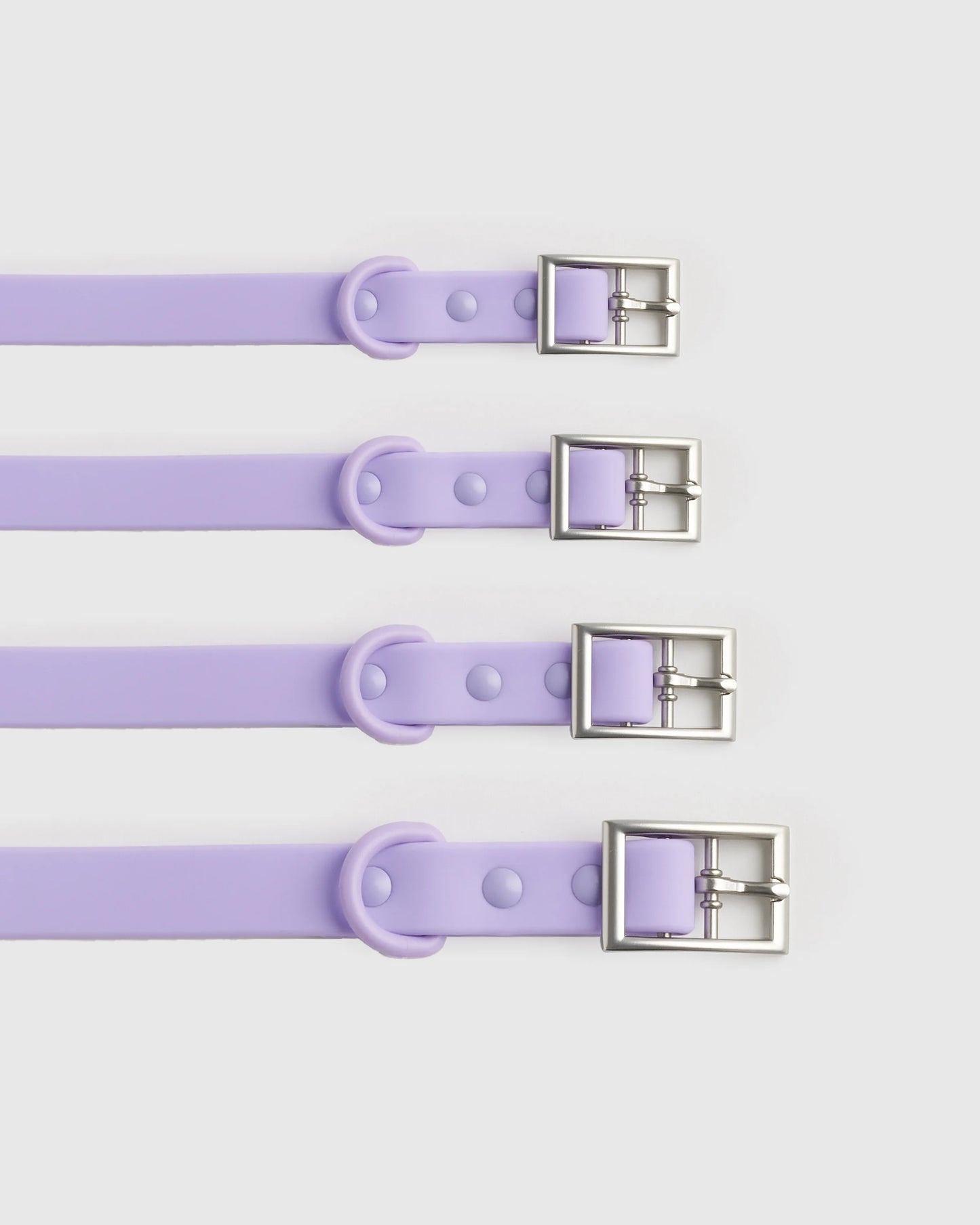 Dog Collar Walk Kit - XS / Black