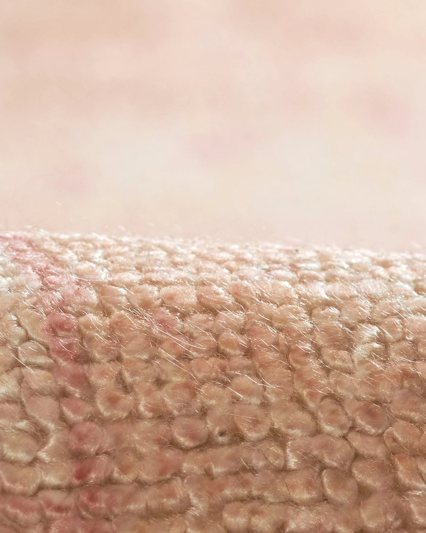 Arya Performance Rug - 5' x 8' / Pink