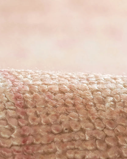 Arya Performance Rug - 5' x 8' / Pink