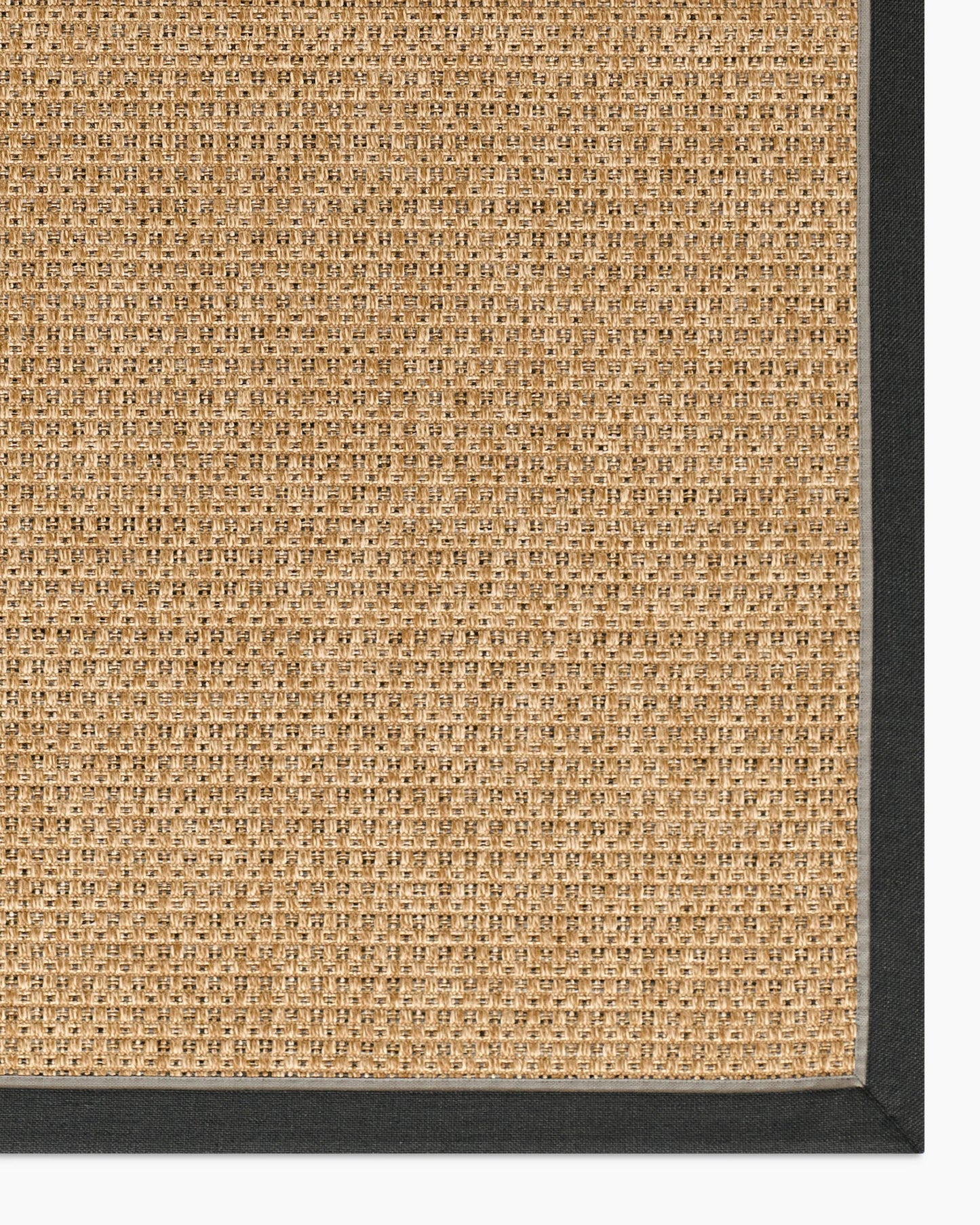 Kitt Indoor/Outdoor Rug - 2' x 4' / Brown/Beige