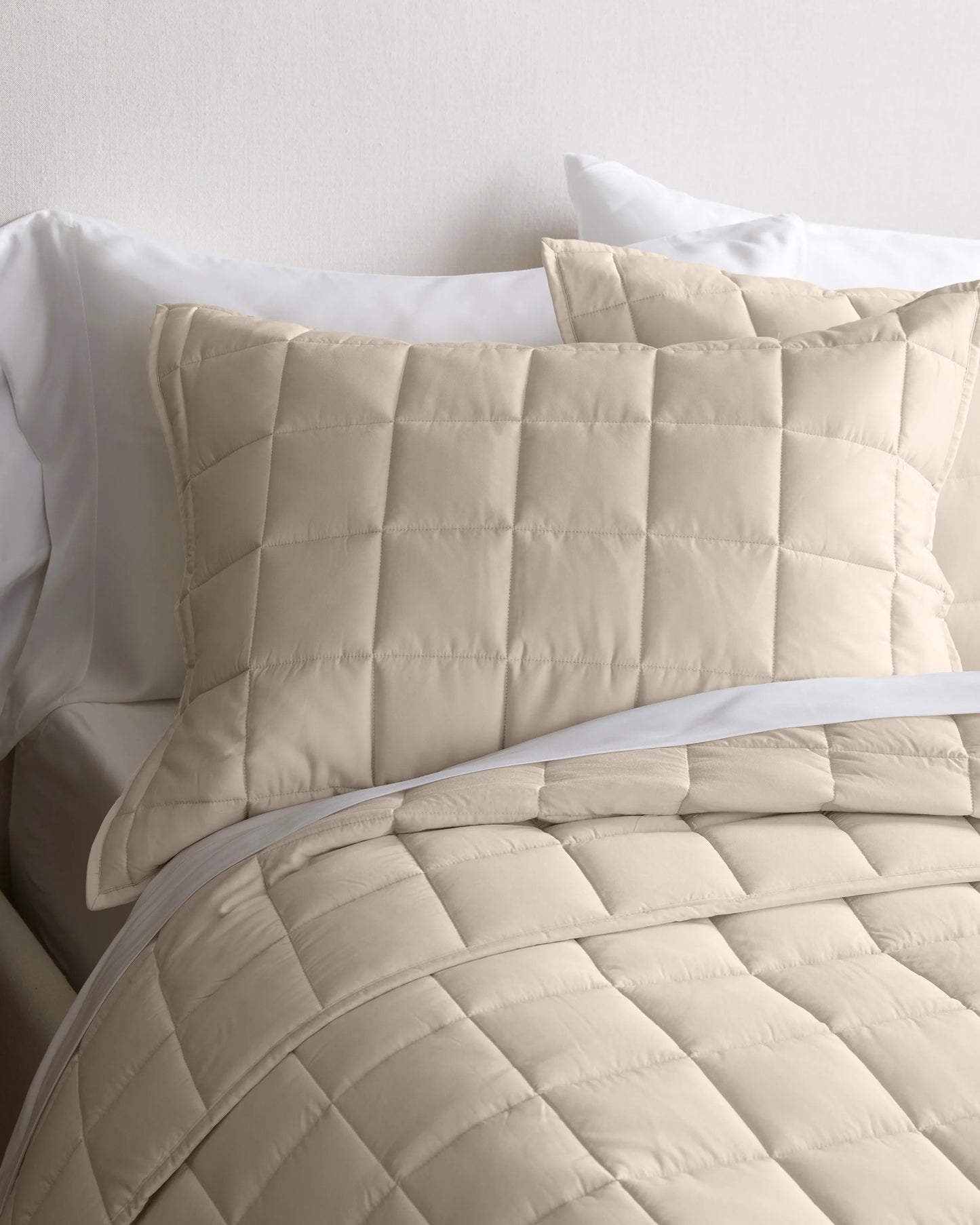 Bamboo Box Quilted Sham Set - Standard / Sage