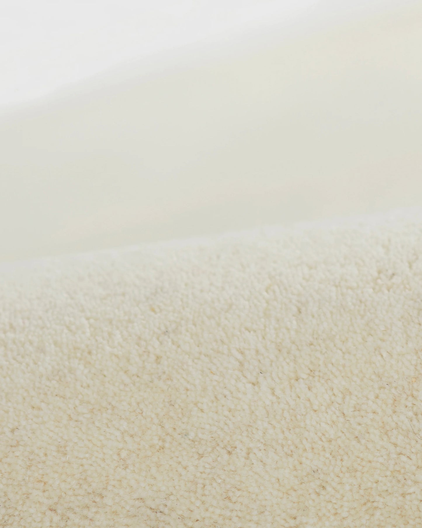 Scalloped Border Hand-Tufted Rug - 5' x 8' / Mustard