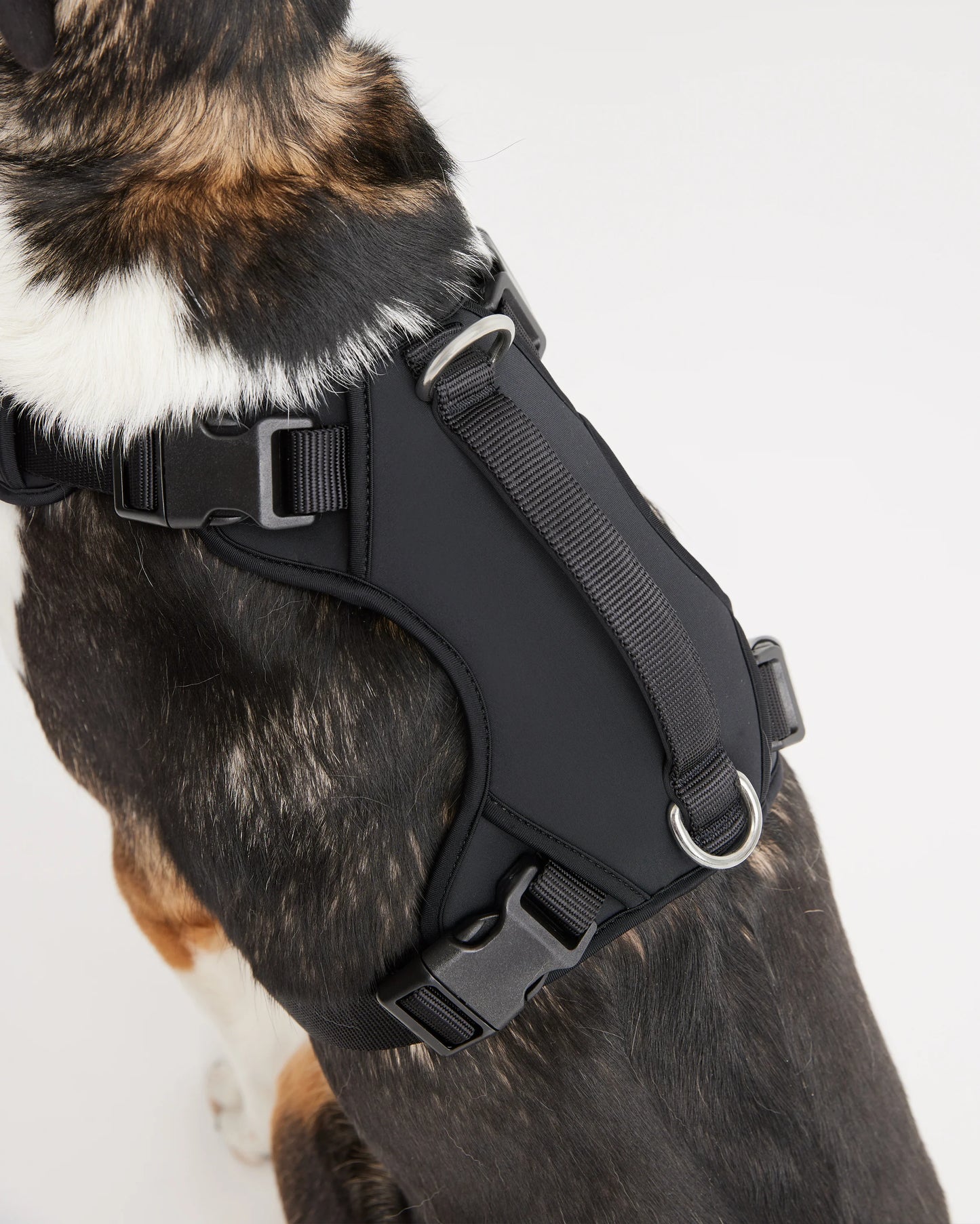 Neoprene Double Panel Dog Harness - XS / Black
