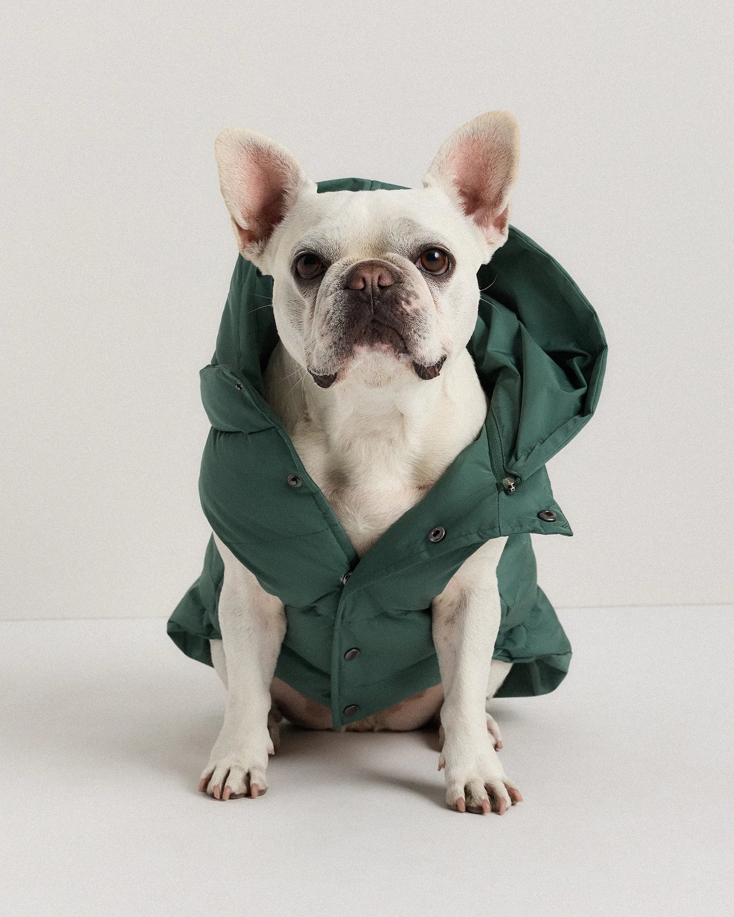 Waterproof Dog Puffer Jacket - XS / Off-White
