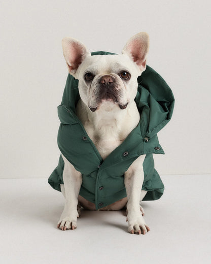 Waterproof Dog Puffer Jacket - XS / Off-White