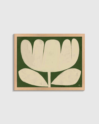 Tulip in Full by Marco Marella - 17.25"x25.25" / White