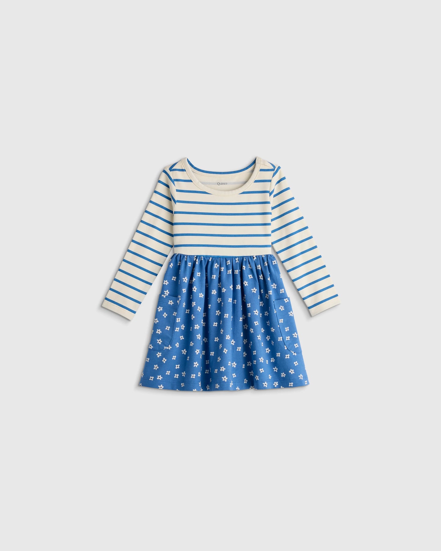 Organic Cotton Long Sleeve Fit and Flare Pocket Dress - 12-18M / Purple Poppy Garden
