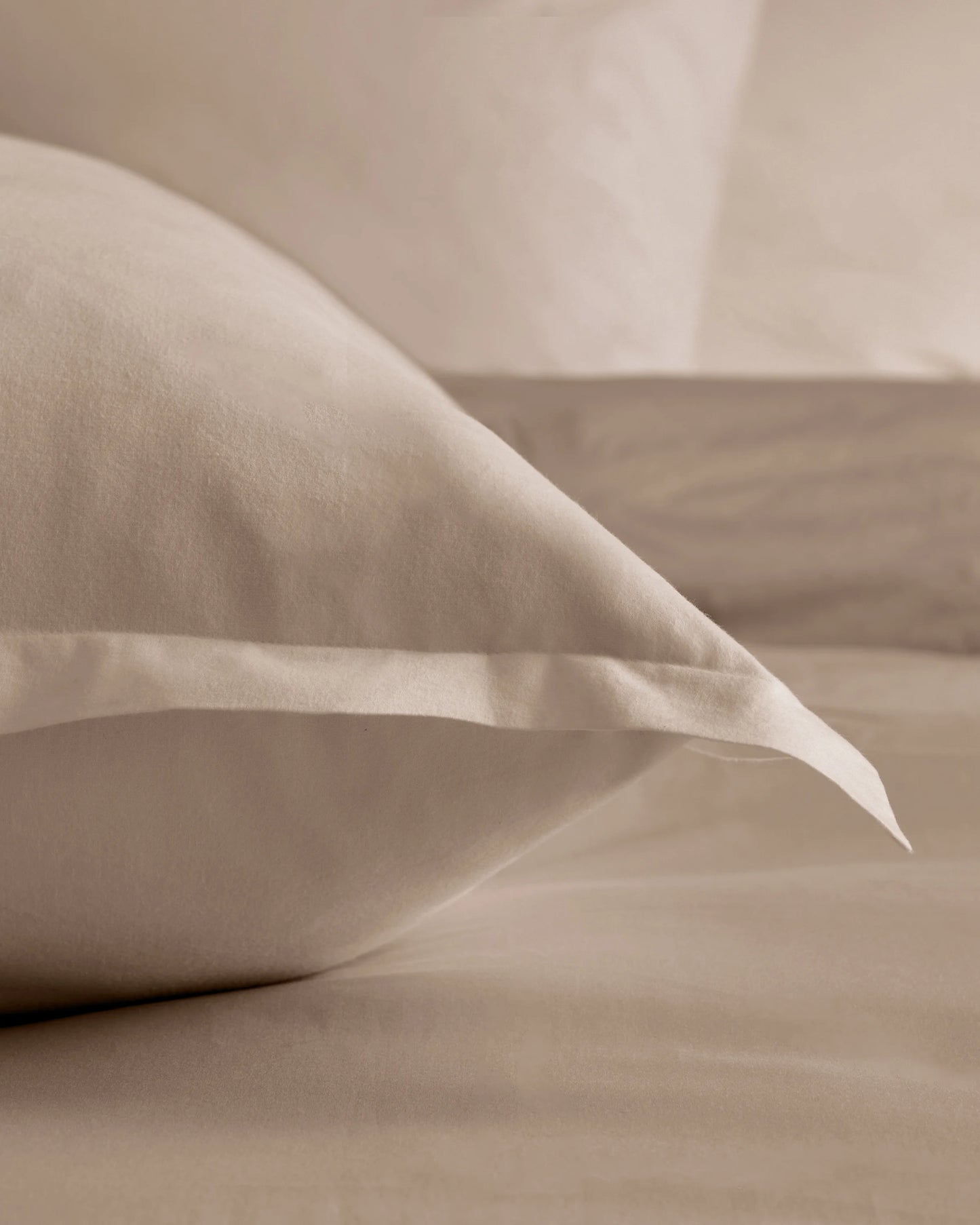Organic Brushed Cotton Euro Sham - Euro / Dusty Olive
