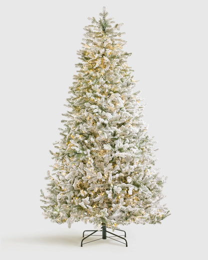 Frosted Fraser Fir Artificial Christmas Tree: Lit - 6.5' / Forest Green