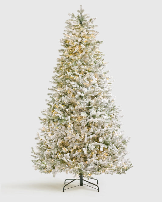 Frosted Fraser Fir Artificial Christmas Tree: Lit - 6.5' / Forest Green