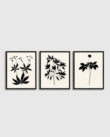 Botanical by Philippa Katz (Set of 3) - 17.25"x21.25" / Black