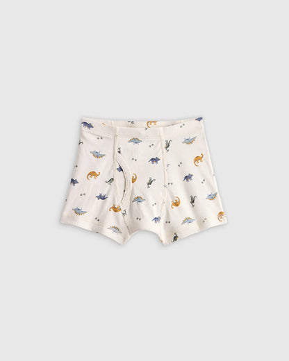 Boys 100% Organic Cotton Boxer Brief 7-Pack - 6 / Boy Multi Pack