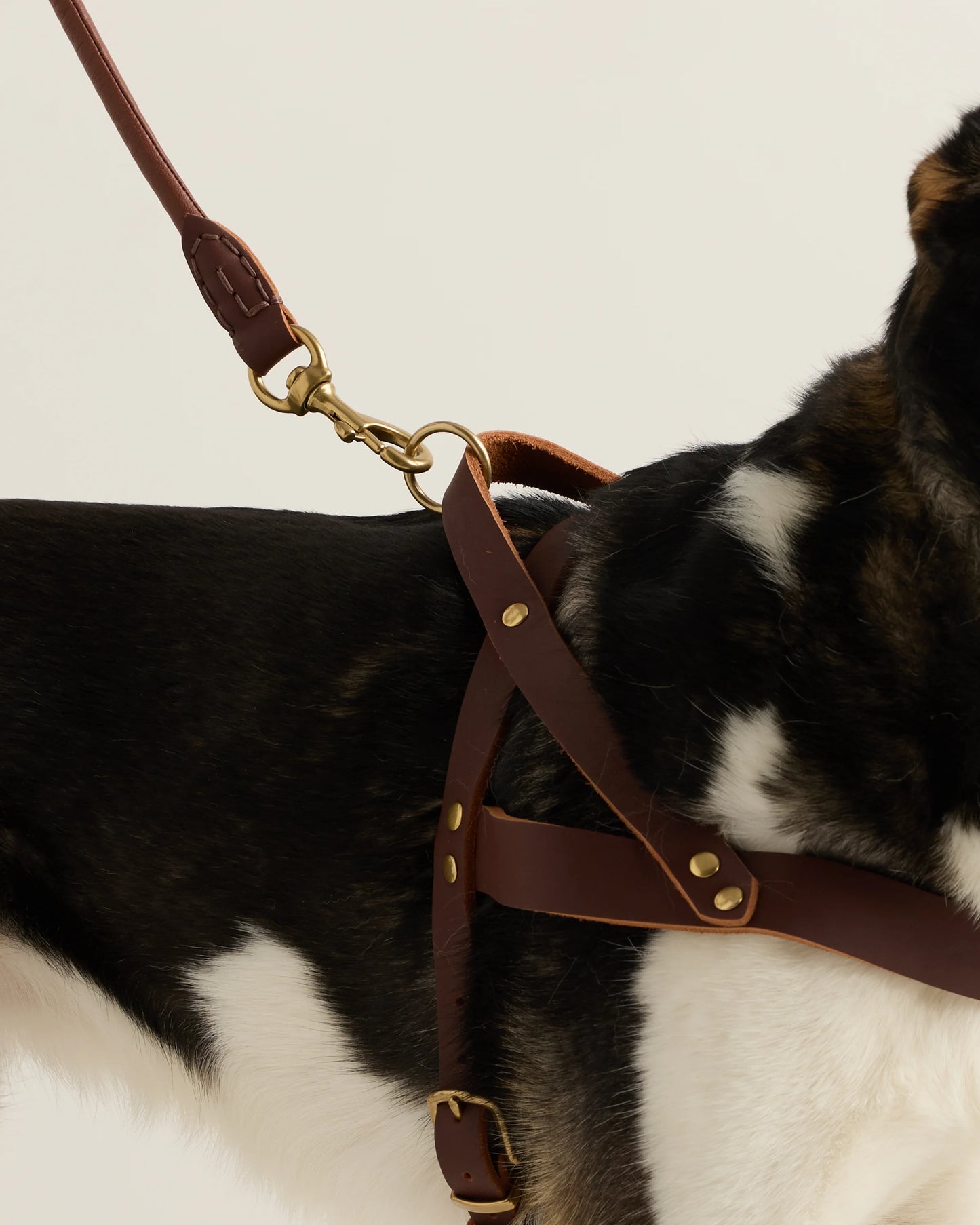 Rolled Italian Leather Dog Leash - Standard / Brown