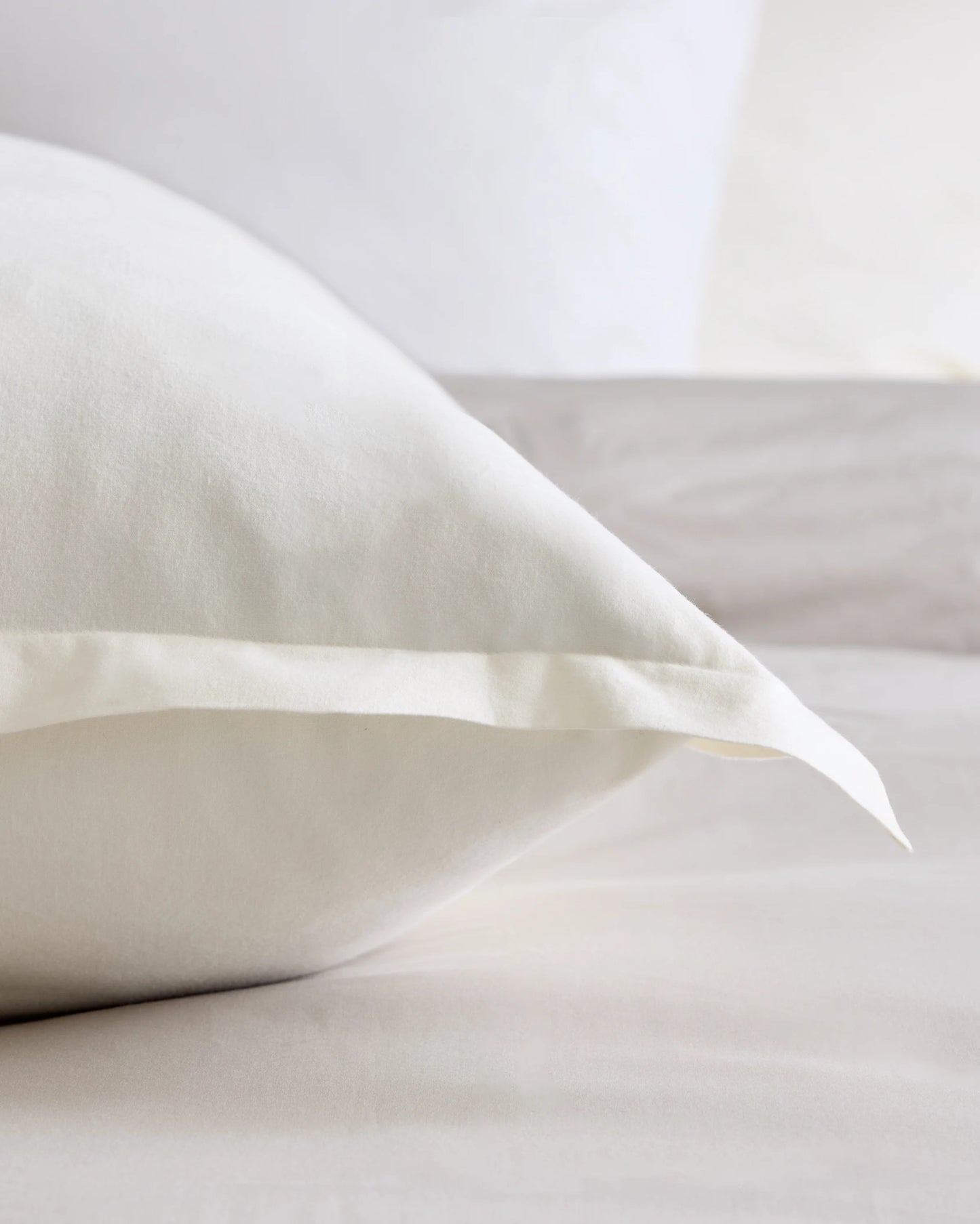 Organic Brushed Cotton Euro Sham - Euro / Dusty Olive