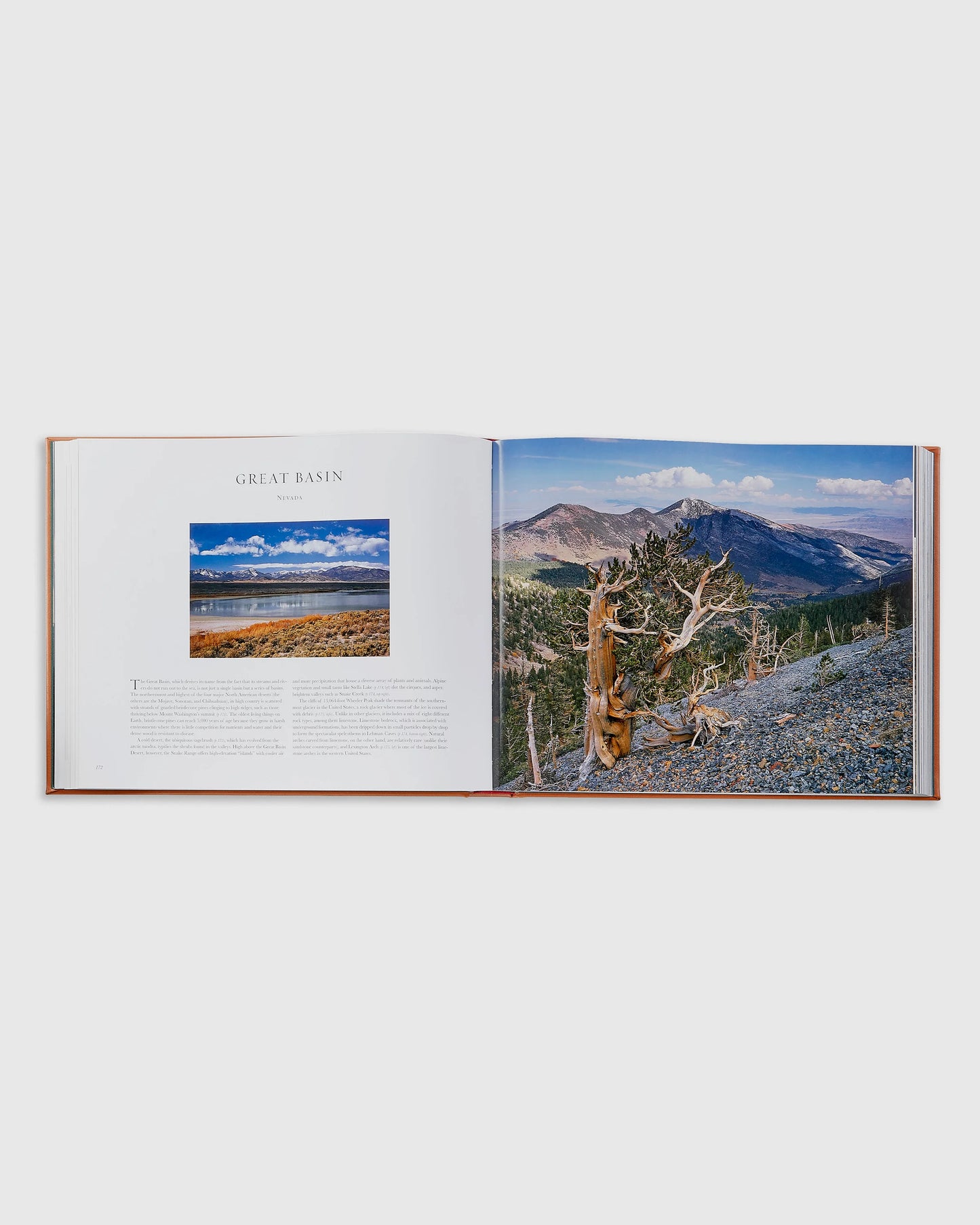 Treasured Lands Leather Bound Book - One Size / No Color