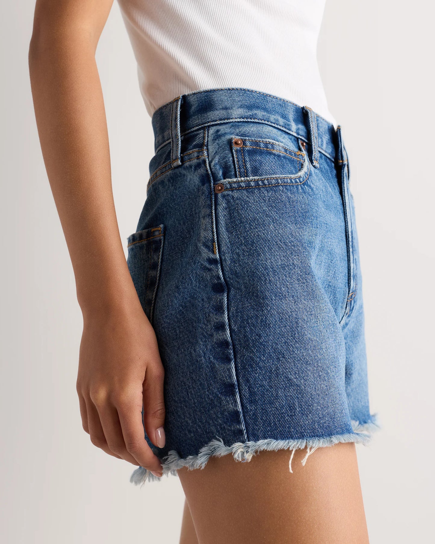 Bella Rigid Cut Off Shorts - 24 / Powder Blue Distressed Fray