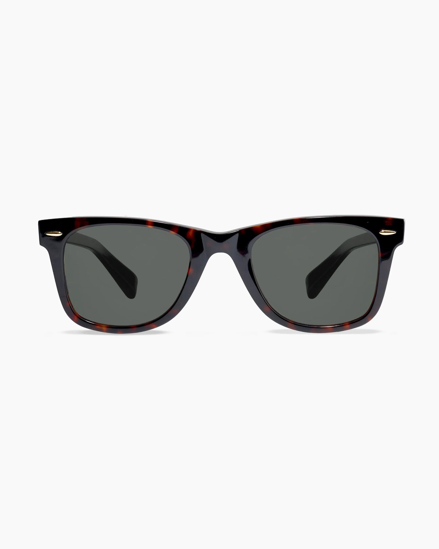 Walker Polarized Acetate Sunglasses - One Size / Clear Slate with Grey lens