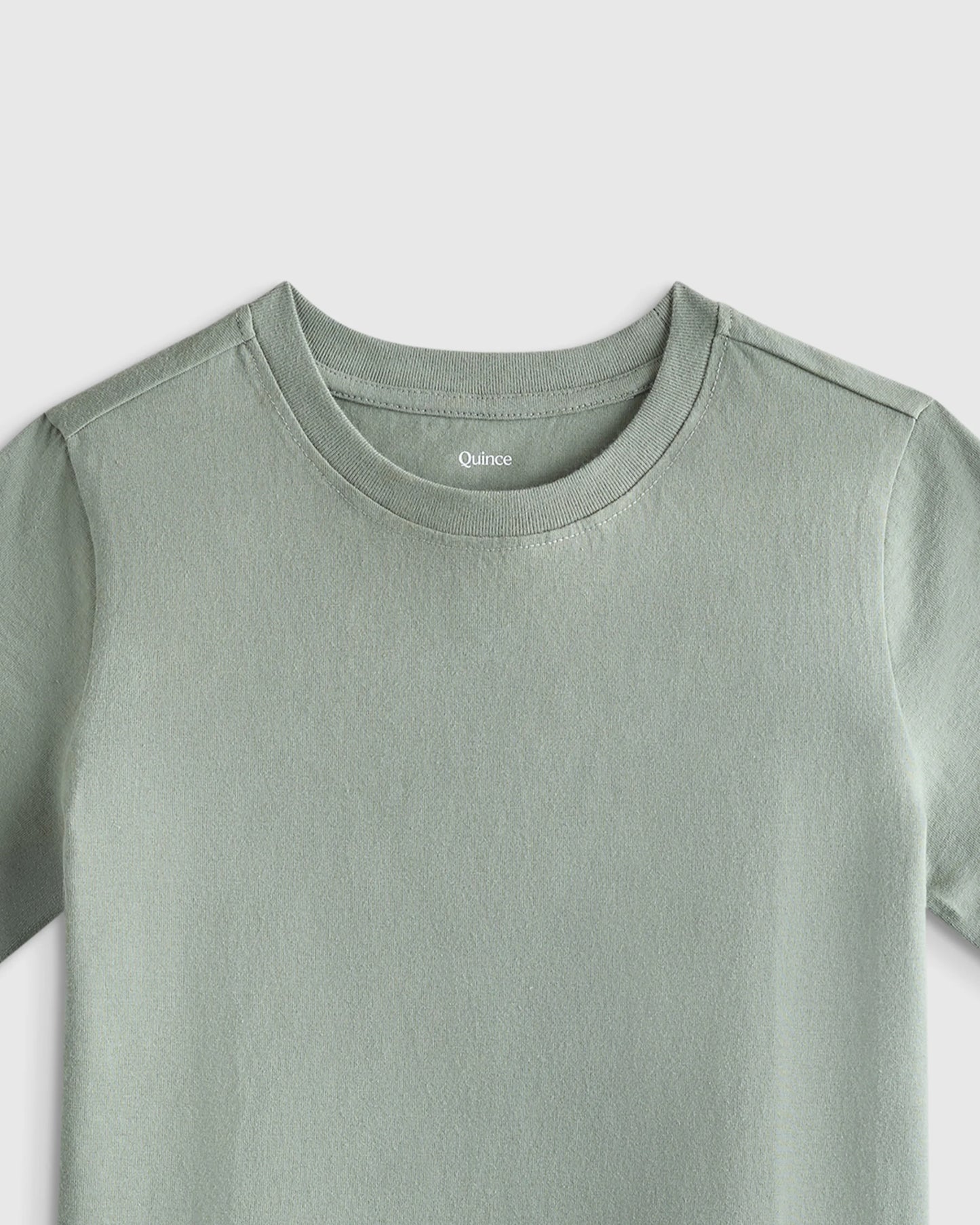 100% Organic Cotton Jersey Short Sleeve Tee - 2T / Dino Sketch
