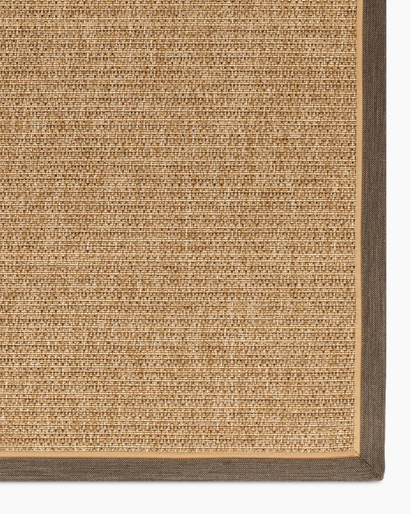 Kitt Indoor/Outdoor Rug - 2' x 4' / Brown/Beige