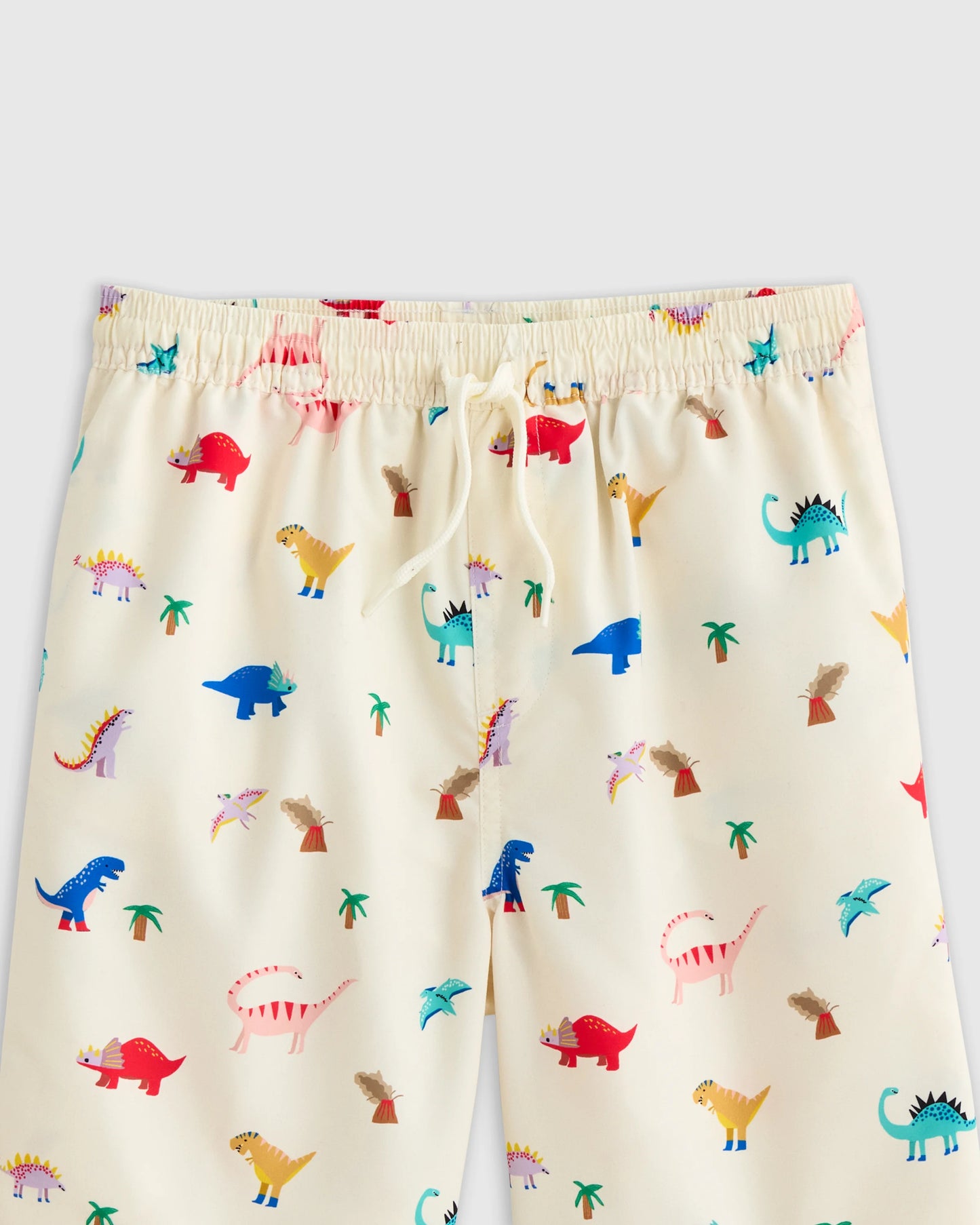 Swim Trunk - 2T / Wavy Fish